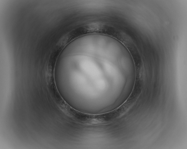 X0000110680737200906191405