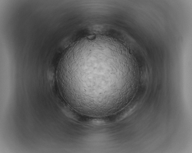 X0000110680749200906191405