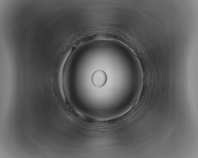 X0000110680750200906191405