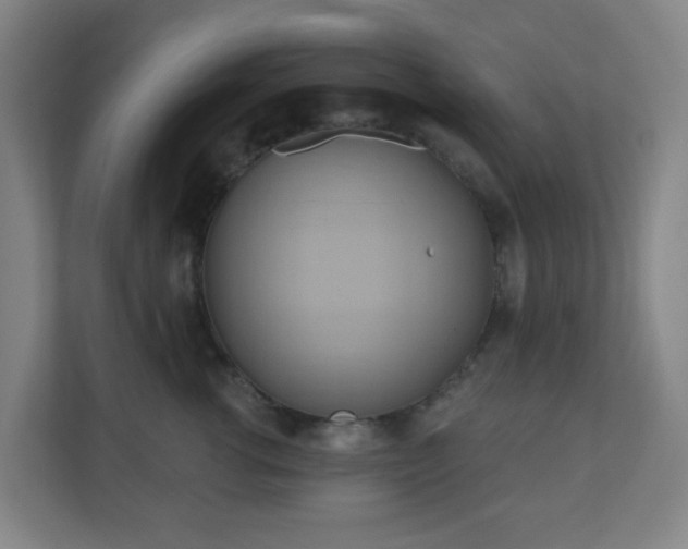 X0000110680762200906191405