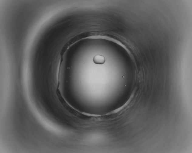 X0000110680764200906191405