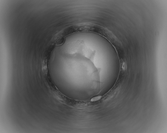 X0000110680771200906191405