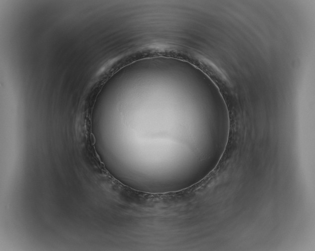 X0000110680776200906191404
