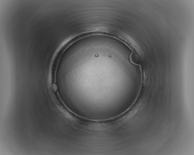 X0000110680780200906191404