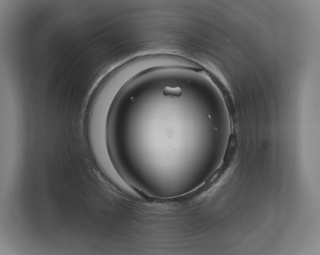 X0000110680781200906191404