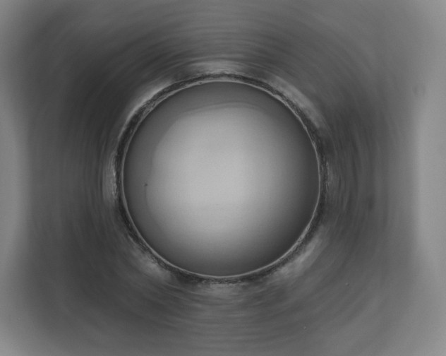 X0000110680782200906191404