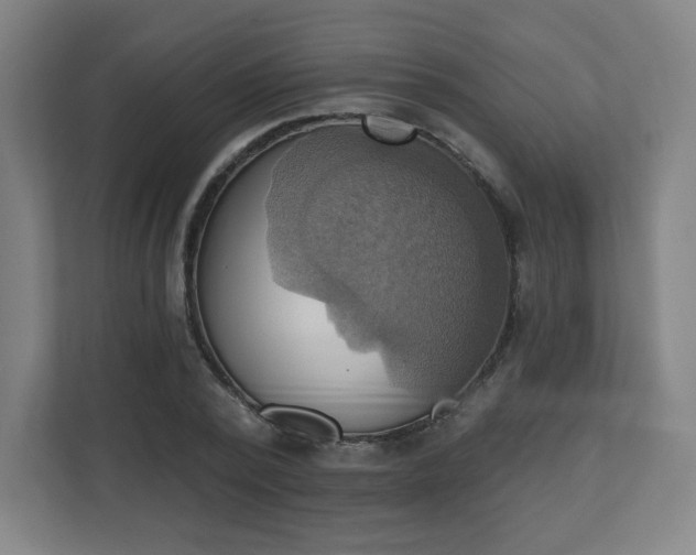X0000110680784200906191404
