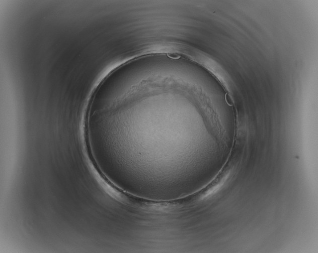 X0000110680803200906191404