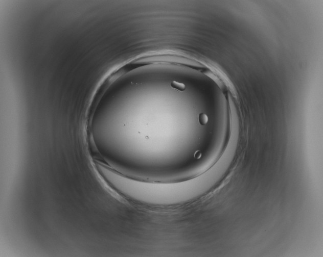 X0000110680805200906191404