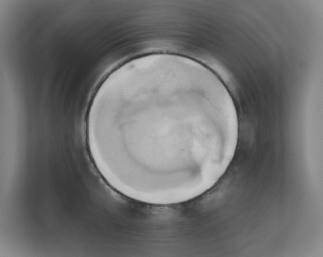 X0000110680807200906191404