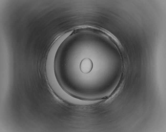 X0000110680809200906191404