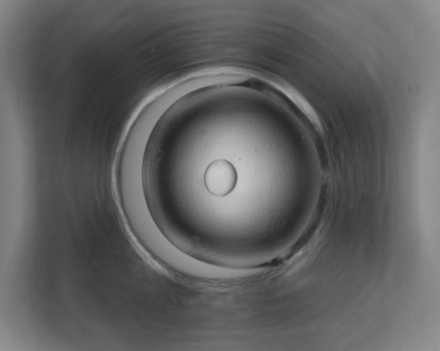 X0000110680813200906191404