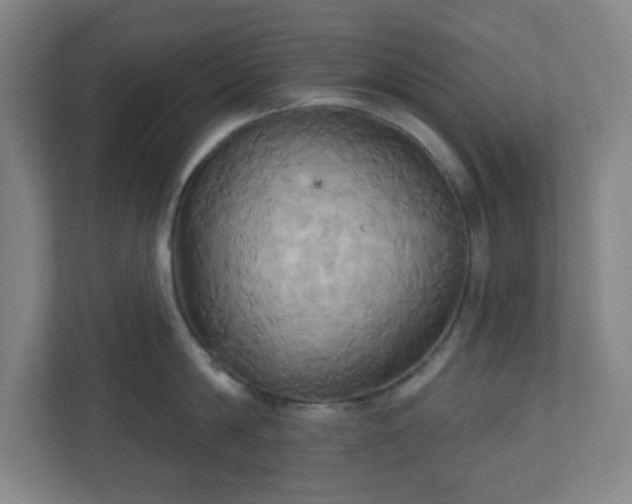 X0000110680814200906191404