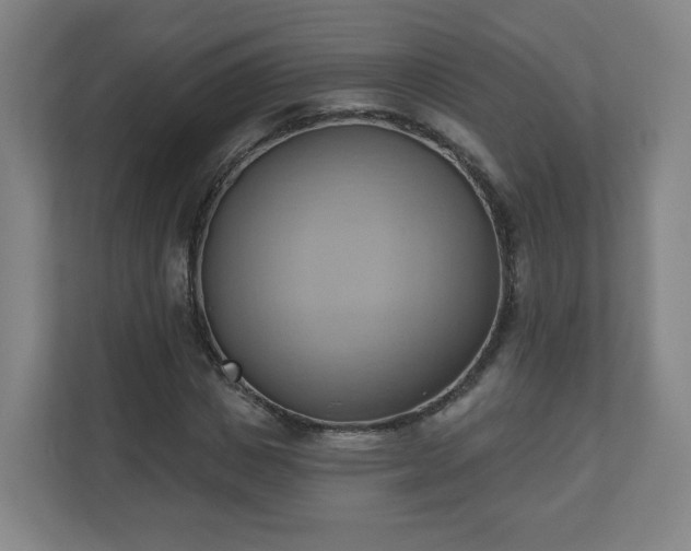 X0000110680825200906191403