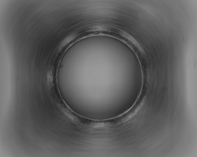 X0000110680826200906191403