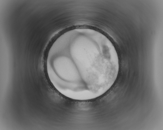 X0000110680832200906191403