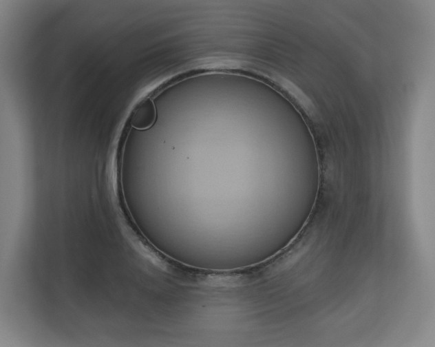 X0000110680840200906191404