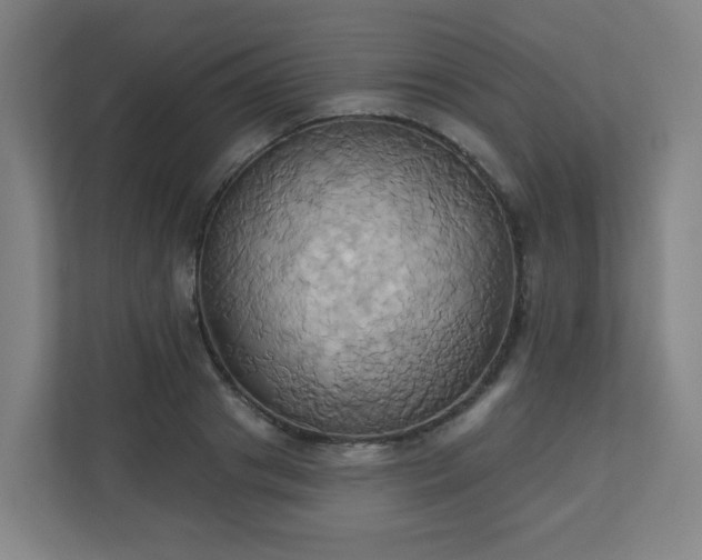 X0000110680841200906191404