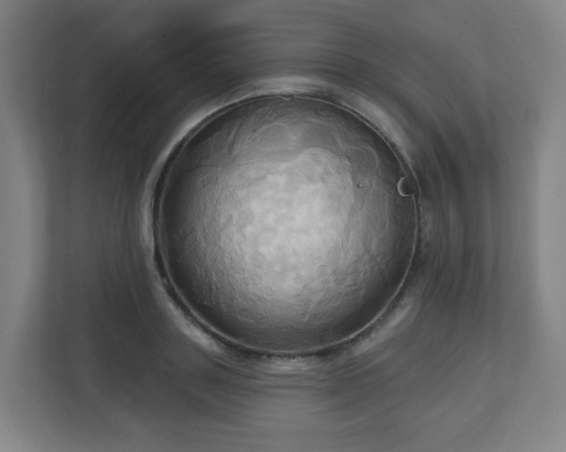X0000110680843200906191404