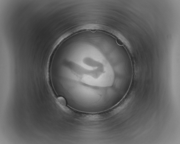 X0000110680845200906191404