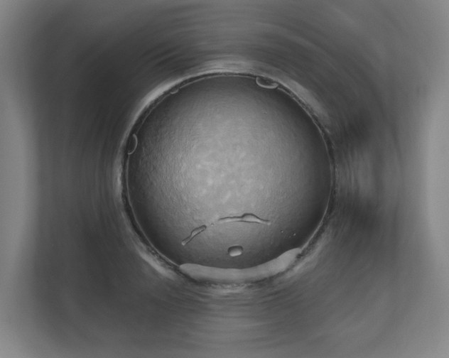 X0000110680846200906191404