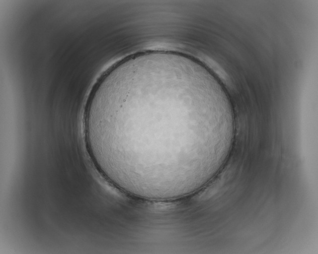 X0000110680848200906191404