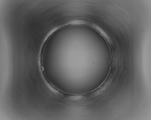 X0000110680853200906191404