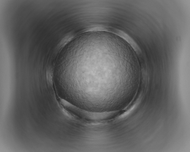X0000110680857200906191404