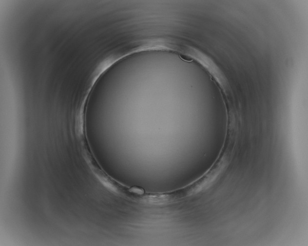 X0000110680858200906191404