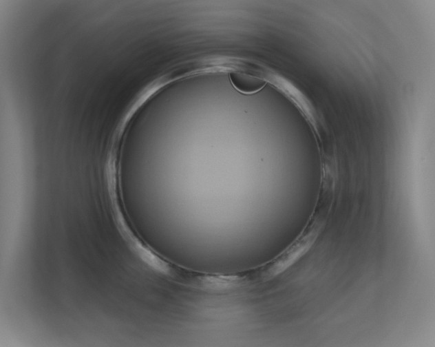X0000110680859200906191404