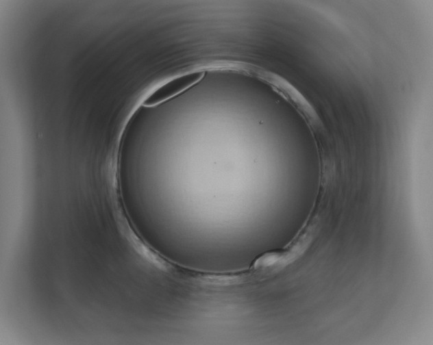 X0000110680860200906191404