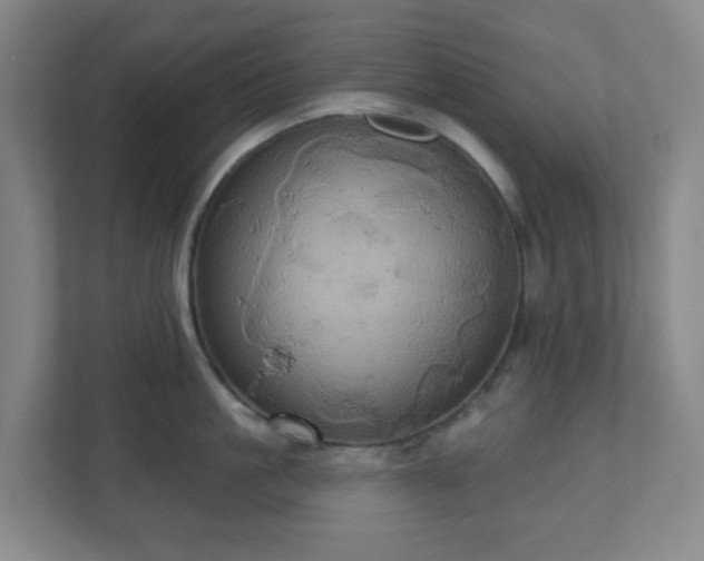 X0000110680861200906191404