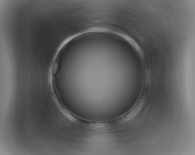 X0000110680862200906191404