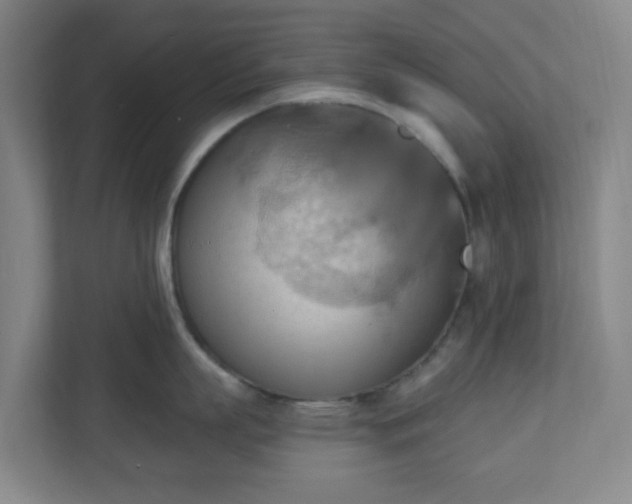 X0000110680863200906191404