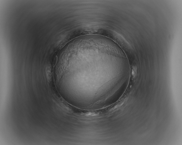 X0000110680867200906191403
