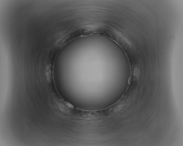 X0000110680868200906191403