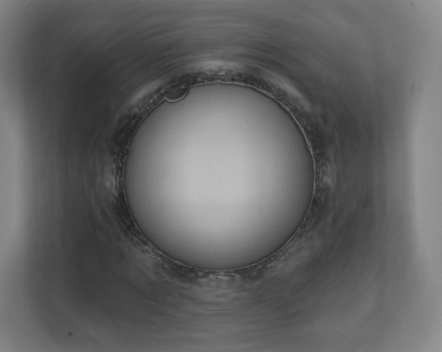 X0000110680869200906191403