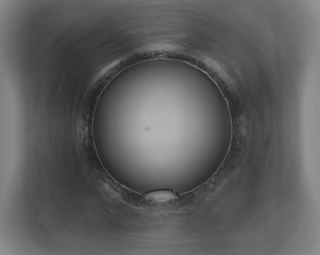X0000110680872200906191403