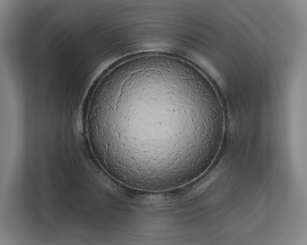 X0000110680883200906191403