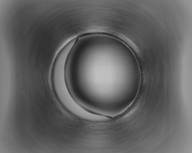 X0000110680885200906191403