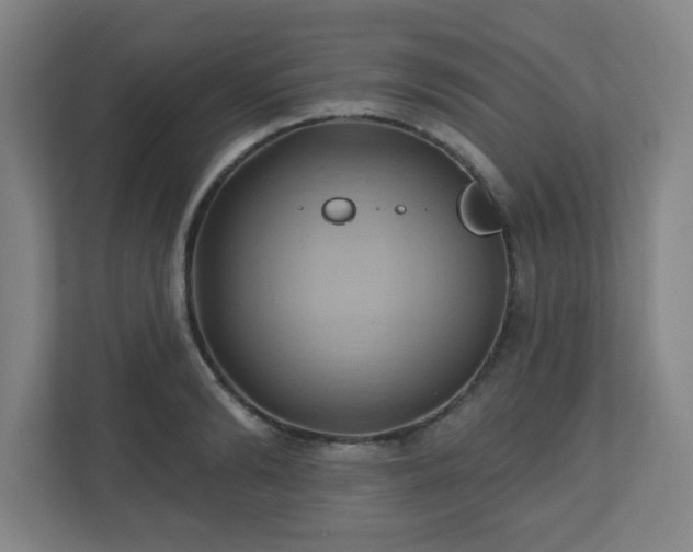 X0000110680894200906191403