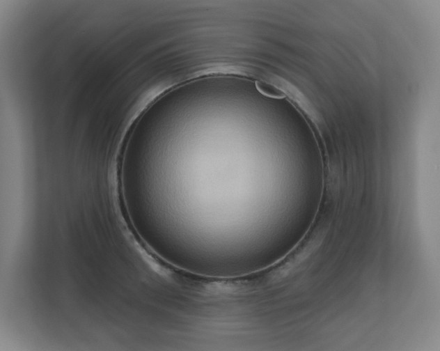 X0000110680898200906191403