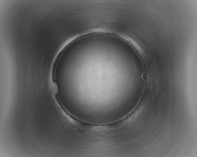 X0000110680902200906191403