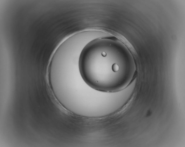 X0000110680908200906191403