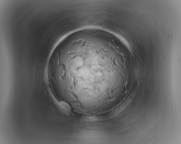 X0000110680911200906191403