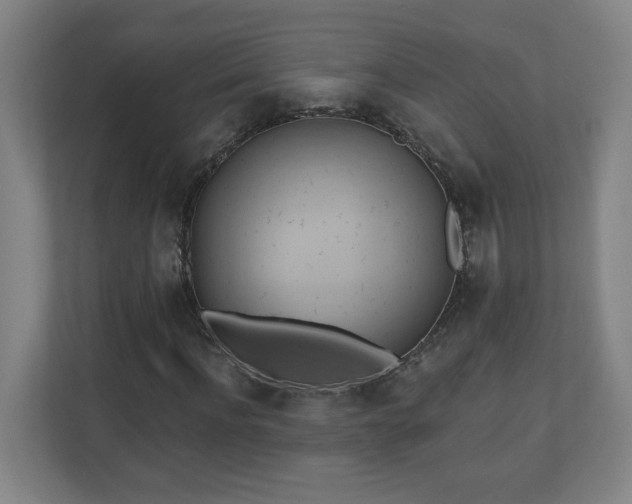 X0000110680916200906191402