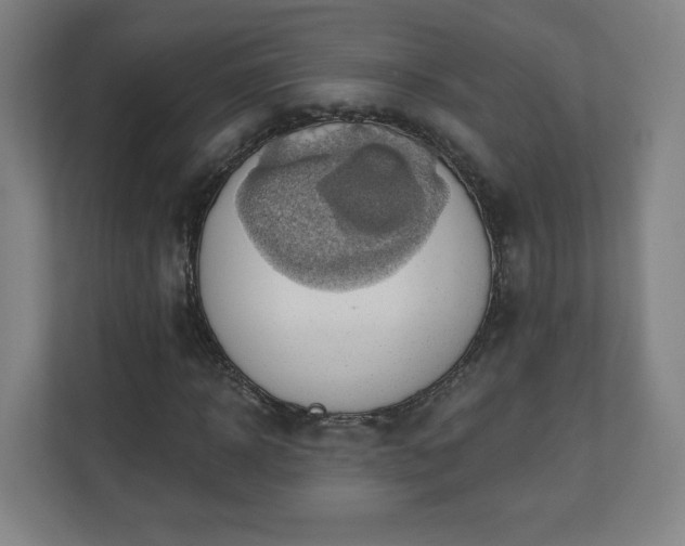 X0000110680918200906191402