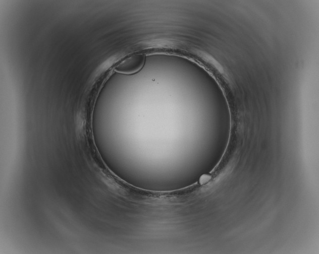 X0000110680922200906191402