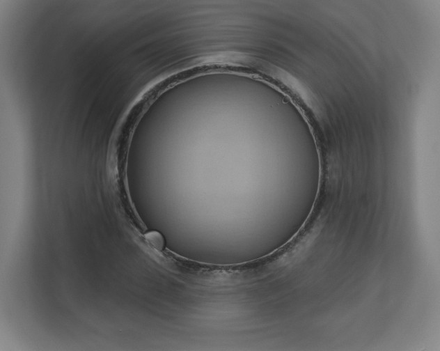 X0000110680923200906191402
