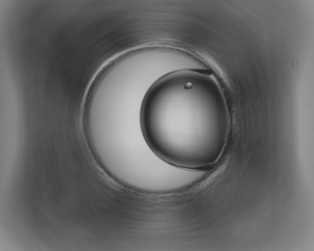 X0000110680924200906191402